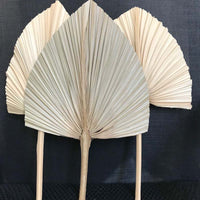 eventail feuille de palmier naturelle lot de 5
